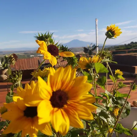 La Terrazza Di Cirico' Guest House Carlentini Exterior photo